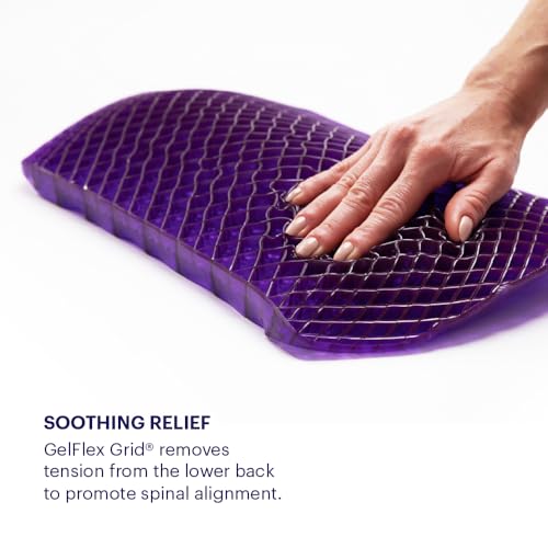 Purple Back Cushion | Pressure Reducing Grid Designed for Ultimate Comfort | Designed for Chairs, Gaming, and Travel | Made in The USA - size: Back