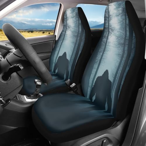 Pehede Car Seat Cover Mysterious Monster Front for Cars, Easy to Install Cover Set, Accessories Auto Trucks Van SUV,2 Packs - color: Multi22