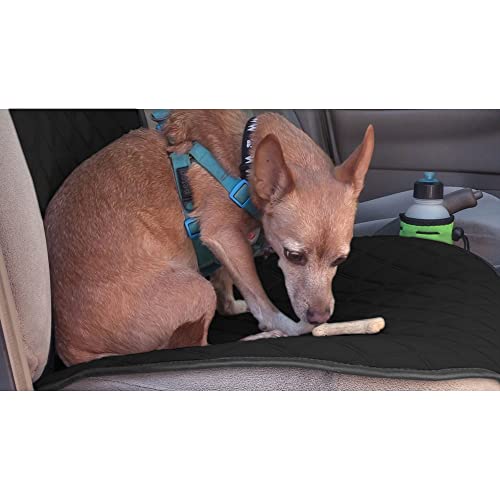 FH Group Car Seat Cushion – Neosupreme Single Front Seat Cover with Front Pockets, Airbag Compatible, Universal Fit Car Seat Cushion for Driver or Passenger Seat, SUV, Truck, Sedan & Van – Black - color: Black, style: Front