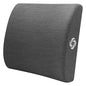 Samsonite Ergonomic Lumbar Support Pillow for Office Chair and Car Seat - Memory Foam Back Support Lumbar Pillow Premium Cushion Chair Support for Lower Back Pain Relief and Versatile Use (Slate Grey)