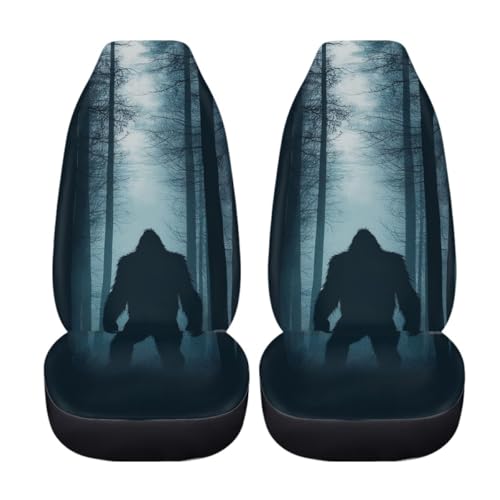 Pehede Car Seat Cover Mysterious Monster Front for Cars, Easy to Install Cover Set, Accessories Auto Trucks Van SUV,2 Packs - color: Multi22