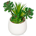 Briful Artificial Succulents Plants in Ceramic Pot, Faux Succulent with White Planters – Modern Desk Decor for Home Office Shelf Bathroom, Small Fake Plants Potted