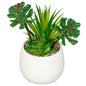 Briful Artificial Succulents Plants in Ceramic Pot, Faux Succulent with White Planters – Modern Desk Decor for Home Office Shelf Bathroom, Small Fake Plants Potted
