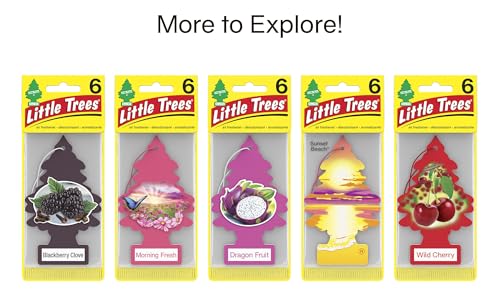 LITTLE Air Fresheners Car Air Freshener. Hanging Tree Provides Long Lasting Scent for Auto or Home. Cherry Blossom, 24 Air Fresheners (Pack of 6) - size: 4 Count (Pack of 36)