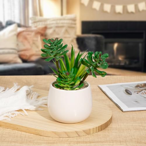 Briful Artificial Succulents Plants in Ceramic Pot, Faux Succulent with White Planters – Modern Desk Decor for Home Office Shelf Bathroom, Small Fake Plants Potted