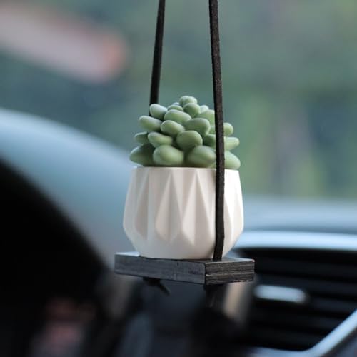 Cute Swing Cactus Car Mirror Hanging Ornament Resin Potted Succulent Plants Rear View Mirror Pendant Charm Car Interior Aesthetic Accessories for Women Men (01#) - color: 01#