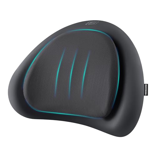 Skechers Lumbar Pillow Premium Memory Foam,Double-Layer-Office Chair Cushion for Tailbone Pain Relief,Butt Pillow for Office Chair,Car seat Cushion,Long Sitting Office Workers,and Car Drivers,Black - color: Black