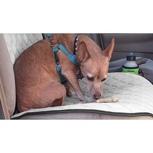 FH Group Car Seat Cushion – Neosupreme Single Front Seat Cover with Front Pockets, Airbag Compatible, Universal Fit Car Seat Cushion for Driver or Passenger Seat, SUV, Truck, Sedan & Van – White - color: White, style: Front