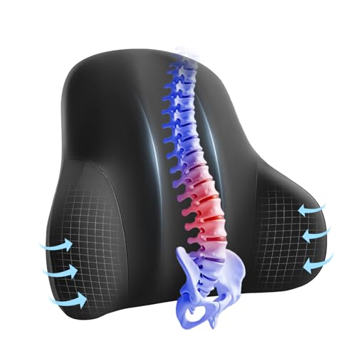 BABUR Lumbar Support Pillow for Car, Ergonomic Memory Foam Support Pillow for Lower Back Pain Relief, Washable Cover, Lumbar Cushion for Driving Seat, Fits Most Cars | Black - color: Black