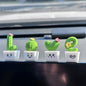 Car Rearview Mirror & Dashboard Accessories - Succulent Cactus Decor, Aesthetic Car Ornament, Funny Interior Decoration Gifts