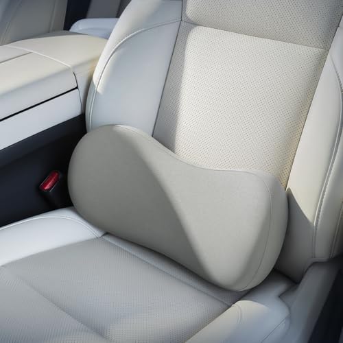 Lumbar Support Pillow - Back Pain Relief Cushion, Fits Tightly Around the Coccyx, Ergonomics Memory Foam, Skin-Friendly Fabric, Fit Car Drive, Office Chair, Rest Seat, Wheelchair (Gray) - color: Gray