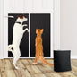 BNOSDM Self-Adhesive Dog Nail File Scratcher Emery Paper Cat Nail Scratch Board Replacement Sandpaper, Cuttable Pet Furniture Scratching Pad Protector for Door and Wall (12in*16ft, Black) - size: 12x197in-16ft