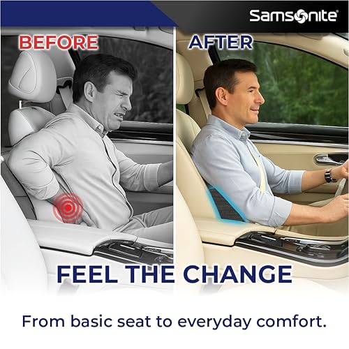 Samsonite Ergonomic Lumbar Support Pillow for Office Chair and Car Seat - Memory Foam Back Support Lumbar Pillow Premium Cushion Chair Support for Lower Back Pain Relief and Versatile Use (Slate Grey)