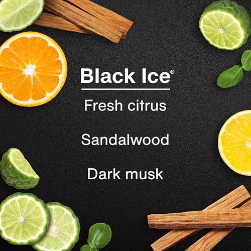LITTLE TREES Car Air Freshener | Fiber Can Provides Long Lasting Scent for Auto or Home | Recycled Fiber | Black Ice, 4 Air Fresheners - color: Black Ice
