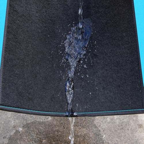 CAR PASS Waterproof Universal Fit Car Floor Mats, Faux Leather Car Carpet Mats, Car Mats with Anti-Slip Nibbs Backing & Driver Heel Pad Fit for SUV,Vans,sedans, Trucks,Set of 4pcs(Light Blue) - color: Black With Blue