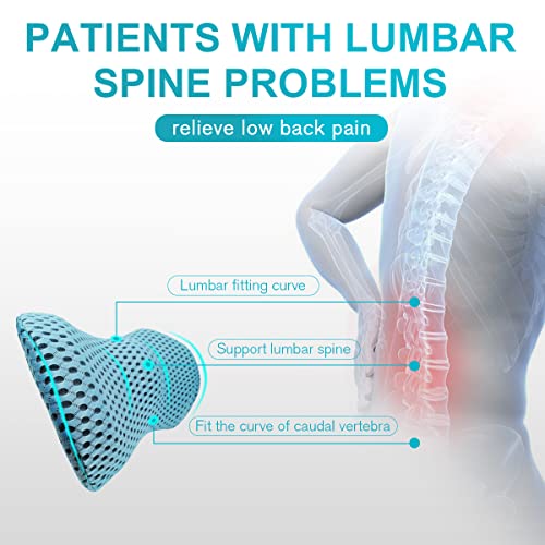 Lumbar Support Pillow for Office Chair, Memory Foam Lumbar Pillow for Lower Back Pain Relief (Blue) - color: Blue