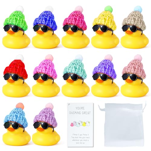 12 PCS Rubber Ducks in Bulk with Knit Hats, Sunglasses, Motivational Cards & Organza Bags - Employee Appreciation Gifts, Office Desk Decor, Car Dashboard Accessories - color: Style8