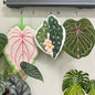 Funny Leaf Hand Towels for Bathroom (COLOR1)