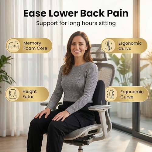 Lumbar Support Pillow Memory Foam Back Cushion for Sciatica & Lower Back Pain Relief Orthopedic Posture Corrector for Office Chair Gaming Chair Car Seat Breathable Washable Dark Gray - color: Dark Gray