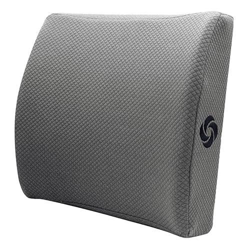 Samsonite Ergonomic Lumbar Pillow for Office Chair and Car Seat - Memory Foam Back Support Lumbar Pillow, Premium Cushion Chair Support for Lower Back Pain Relief and Versatile Use (Grey)