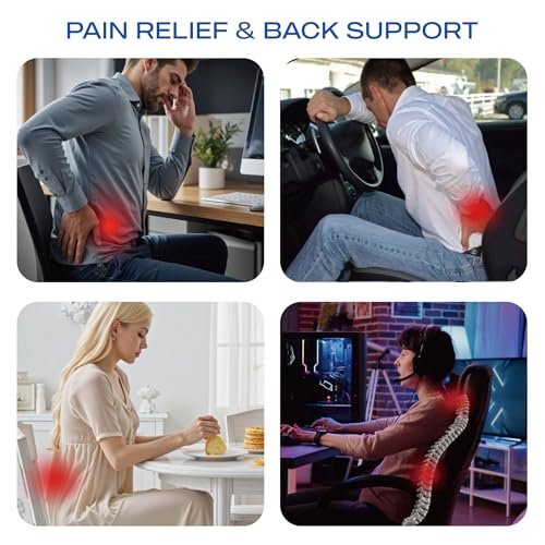 Skechers Memory Foam Lumbar Pillow,Lumbar Support Pillow for Office, Chair Lower Back Pain Relief Lumbar Pillow, Ergonomic Design Back Support Pillow for Office Chair, Car, Home, Travel,Gray