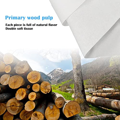 Car Tissue Refills, 600 Sheets Disposable Soft Facial Tissues Napkin, Travel Size Pack for Car Visor Tissue Holder or Purse, 50 Sheets per Pack - size: 50 Count (Pack of 12)