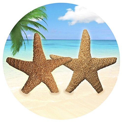 Screen Door Magnets Double Sided – Keep People, Kids, and Dogs from Running into The Screen Door - Robbins Aria Star Fish - color: Star Fish by the Sea