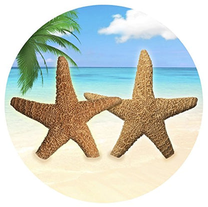 Screen Door Magnets Double Sided – Keep People, Kids, and Dogs from Running into The Screen Door - Robbins Aria Star Fish - color: Star Fish by the Sea
