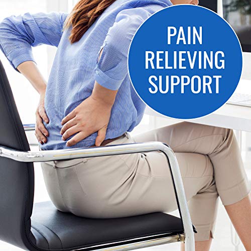 DMI Lumbar Roll Back Support Cushion Pillow, Half-Moon Size, Navy
