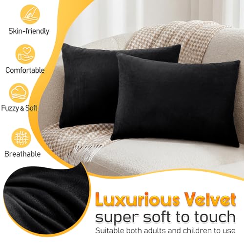 1 MIDDLE ONE 2 Pack Small Pillow, 16 X 12 Inches, Memory Foam Mini Pillow for Travel, Camping, Sleeping, Nap and Neck, Knee, Lumbar Support, Tiny Cushion for Pet, Dogs (Black) - color: Black, size: 16x12 inch