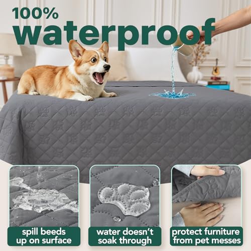 PAWFINITY Waterproof Dog Bed Covers, Pee Proof Pet Blanket, Paw Print Quilted, Pet Hair Resistant, Scratch-Resistant, Washable Furniture Protector for Bed, Couch and Sofa, 52x82 Inch, Grey - size: 82x52 inch (pack of 1)