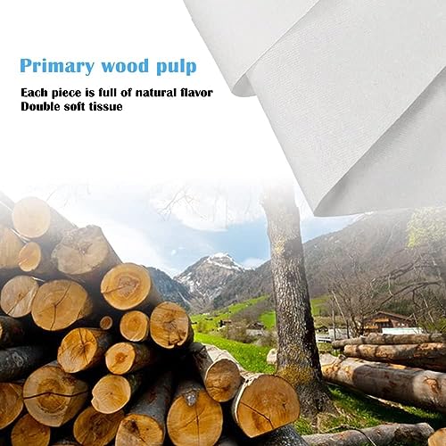 Car Tissue Refills,Facial Napkin Refills for Car Visor tissue holder,300 Sheets, 6 Packs (6 Pack)