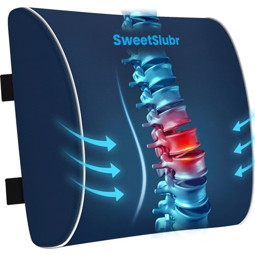 SweetSlubr Large Lumbar Support Pillow for Office Chair, Car Seats and Home Desks, Ergonomic Back Support with Double Adjustable Straps, Machine Washable Cover (Blue,XL) - color: Blue, size: X-Large