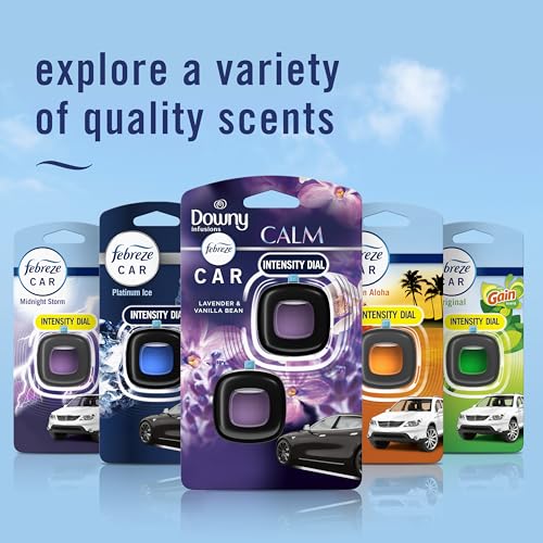 Febreze Car Vent Clip, Downy Calm Scent, 2 Count, 0.13 oz Total - size: 0.07 Fl Oz (Pack of 2)