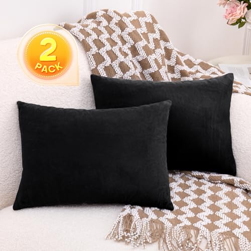 1 MIDDLE ONE 2 Pack Small Pillow, 16 X 12 Inches, Memory Foam Mini Pillow for Travel, Camping, Sleeping, Nap and Neck, Knee, Lumbar Support, Tiny Cushion for Pet, Dogs (Black) - color: Black, size: 16x12 inch