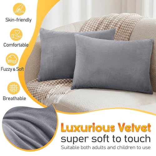 1 MIDDLE ONE 2 Pack Small Pillow, 16 X 12 Inches, Memory Foam Mini Pillow for Travel, Camping, Sleeping, Nap and Neck, Knee, Lumbar Support, Tiny Cushion for Pet, Dogs (Grey) - color: Grey, size: 16x12 inch