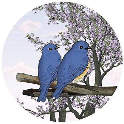 Screen Door Magnets Double Sided – Keep People, Kids, and Dogs from Running into a Screen Door. Saver - Robbins Aria Blue Birds - color: Blue Birds of Happiness