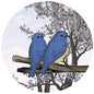 Screen Door Magnets Double Sided – Keep People, Kids, and Dogs from Running into a Screen Door. Saver - Robbins Aria Blue Birds - color: Blue Birds of Happiness