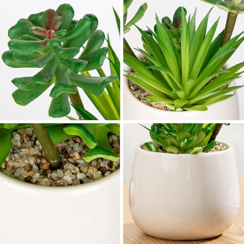 Briful Artificial Succulents Plants in Ceramic Pot, Faux Succulent with White Planters – Modern Desk Decor for Home Office Shelf Bathroom, Small Fake Plants Potted