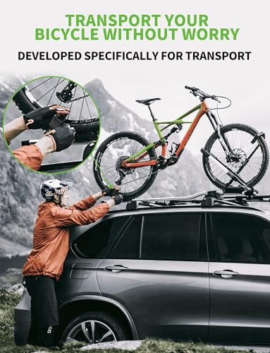 EBike Rack Straps, 4 Pieces, 39 in (1 m) Length, 0.8 mm Width, 440 lbs (200 kg) Load Capacity, Clamp Lock Lashing Straps for All Bike Racks, Roof Racks & Kayaks(Packaging May Vary)