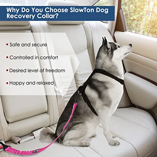 SlowTon Dog Seat Belt, Adjustable Dog Safety Belt Leash, 2 in 1 Latch Bar Attachment Dog Car Seatbelt with Elastic Nylon Bungee Buffer, Reflective Nylon Belt Tether (FU) - color: Fluorescence Pink