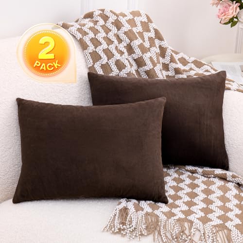 1 MIDDLE ONE 2 Pack Small Pillow, 16 X 12 Inches, Memory Foam Mini Pillow for Travel, Camping, Sleeping, Nap and Neck, Knee, Lumbar Support, Tiny Cushion for Pet, Dogs (Brown) - color: Brown, size: 16x12 inch
