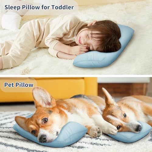 Pro Goleem Small Pillow 11"x7"x2.5" for Kids and Baby Sleeping with Name Tag Mini Tiny Pillow for Camping and Chair Car Air Nap Neck Lumbar Knee Rest Pillows, Blue - color: Blue