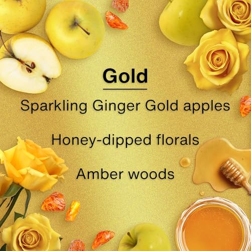 LITTLE TREES Car Air Freshener | Hanging Tree Provides Long Lasting Scent for Auto and Home | 24 Air Fresheners |Gold - color: Gold, size: 6 Count (Pack of 4)