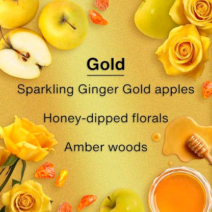LITTLE TREES Car Air Freshener | Hanging Tree Provides Long Lasting Scent for Auto and Home | 24 Air Fresheners |Gold - color: Gold, size: 6 Count (Pack of 4)