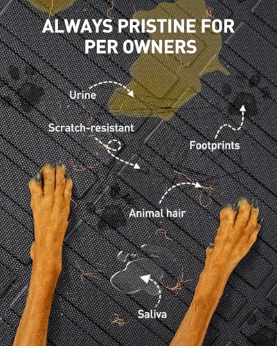 Floor Mats for Nissan Rogue 2026 2025 2024 2023 2022 2021 Accessories, All Weather Protection Heavy Duty Car Floor Liners, Full Coverage TPE Rubber Cargo Mats with Backrest Protectors (Not for Sport)