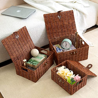 Set of 3 Woven Wicker Storage Basket Box with Lids & Lock, Built-in Carry Handles, Multifunctional Storage Organizer for Nursery, Baby, Clothes, Toys, Books, Large/Medium/Small Size (Natural)