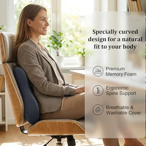 Lumbar Support Pillow Office Chair Lumbar Pillow Lower Back Pain Relief Cozy Dark Gray Memory Foam Back Cushion with Removable Cover Suitable for Car, Bed