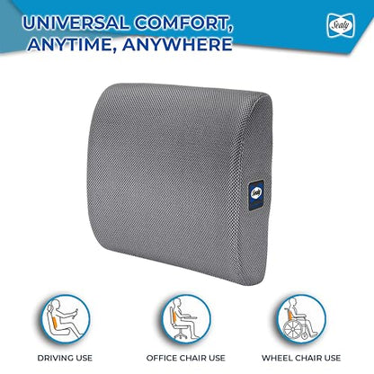 Sealy Ergonomic Lumbar Support Pillow for Office Chair and Car Seat - Memory Foam Back Support Lumbar Pillow, Premium Cushion Chair Support for Lower Back Pain Relief and Versatile Use (Gray)