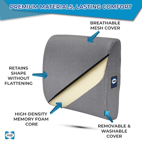 Sealy Ergonomic Lumbar Support Pillow for Office Chair and Car Seat - Memory Foam Back Support Lumbar Pillow, Premium Cushion Chair Support for Lower Back Pain Relief and Versatile Use (Gray)